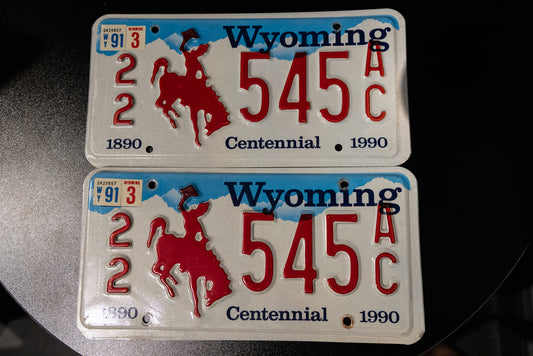 22 License Plates 545 from 1990