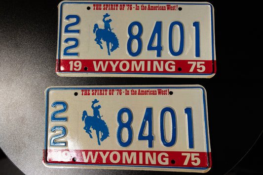 22 License Plates 8401 from 1975